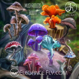 Mushroom’s boom