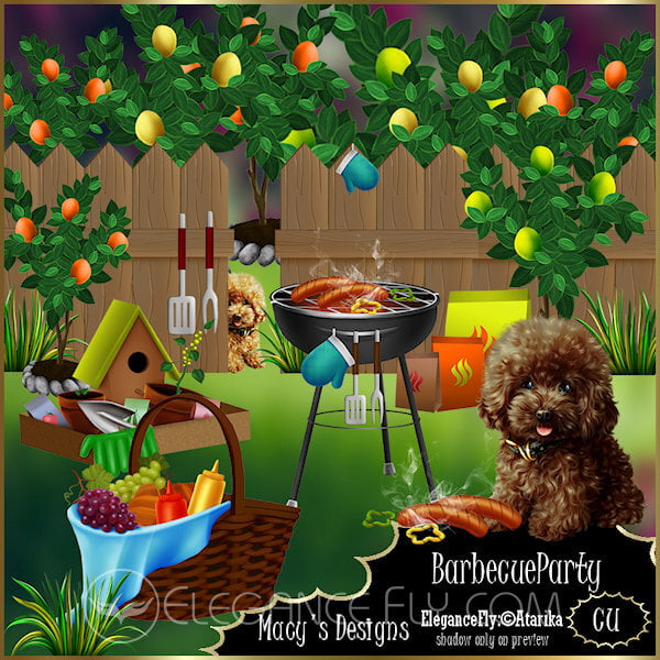 MD_BarbecueParty.jpg