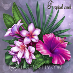 Tropical smell