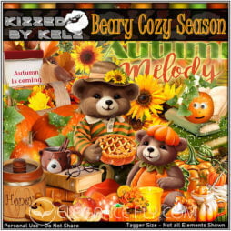 Beary Cozy Season