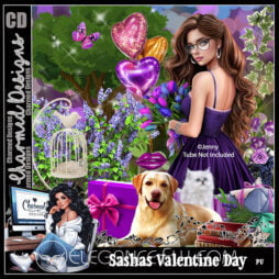 Sashas Valentine Day