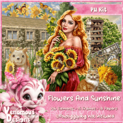 Flowers And Sunshine