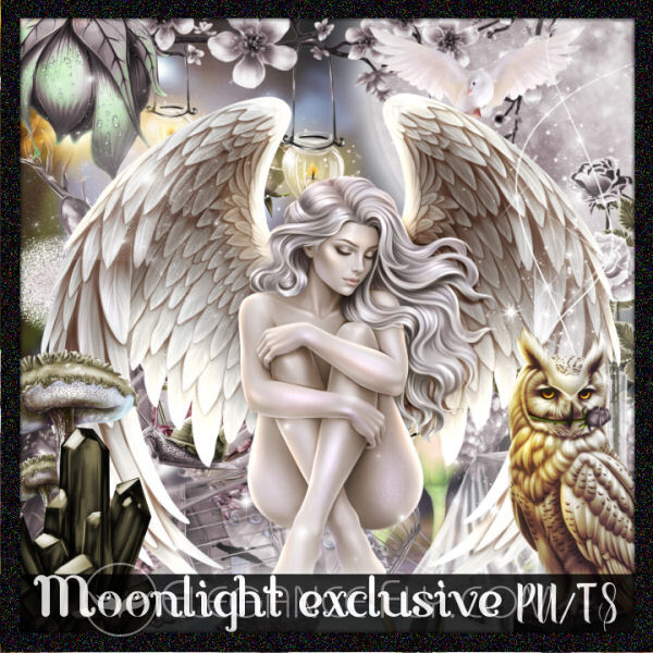PGD_MOONLIGHTEXCLUSIVE1.jpg