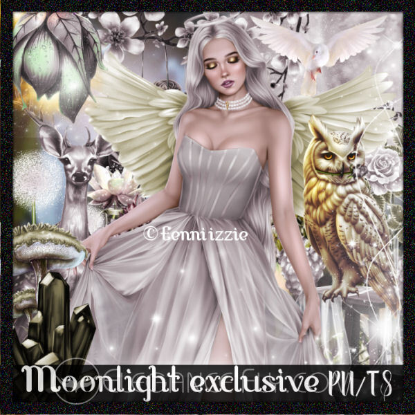 PGD_MOONLIGHTEXCLUSIVE2.jpg
