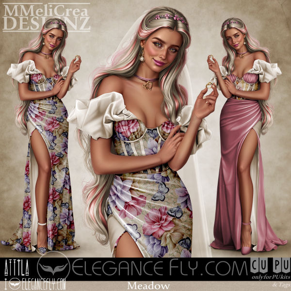 MMD_Attila_Meadow_CU4PU_PV.jpg